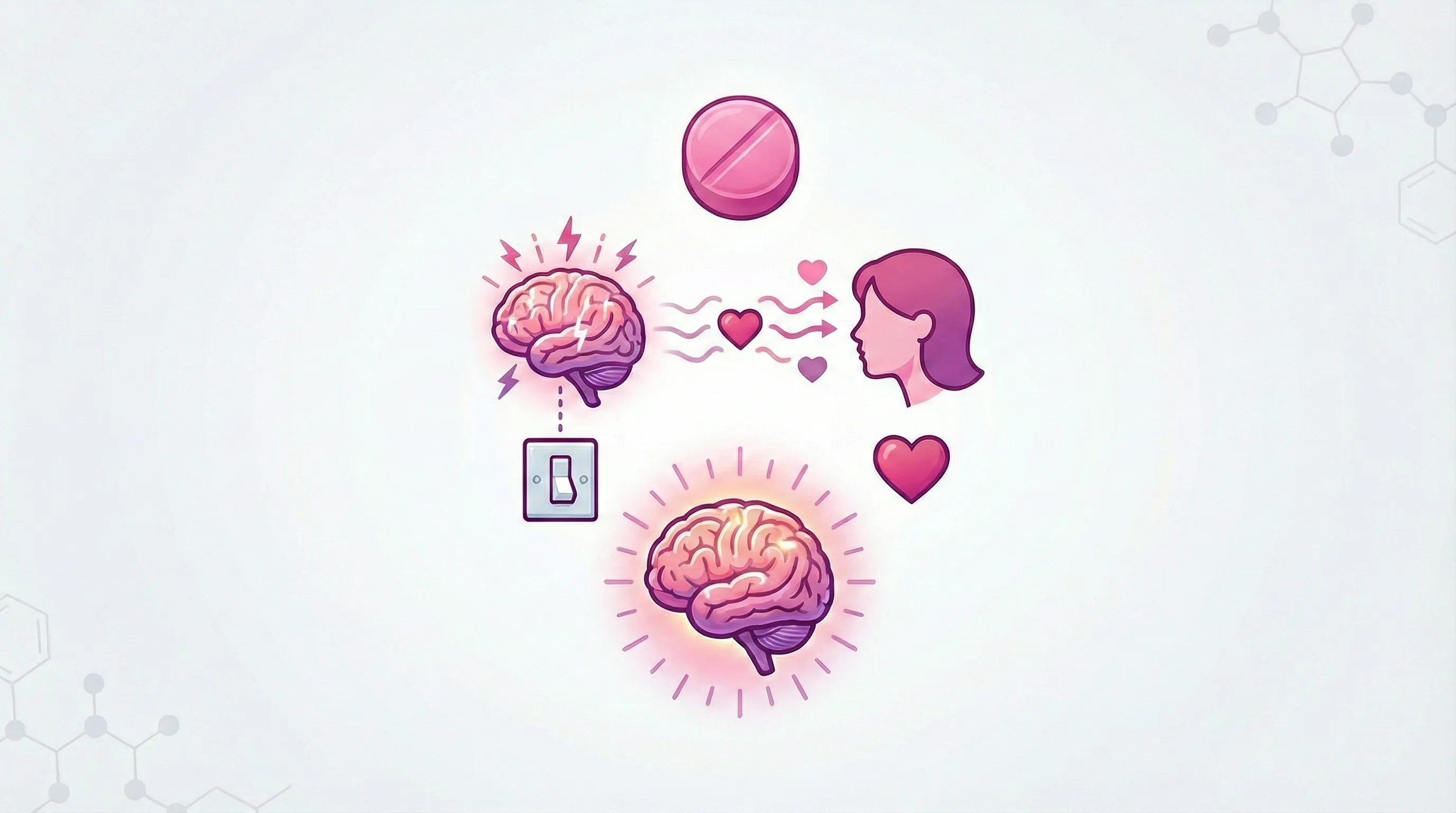 여성용 비아그라의 진실 - 혈류량 증가와 성적 욕구의 차이, 그리고 '핑크 비아그라'의 실체